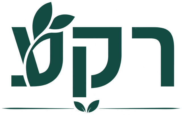 סטודיו רקע